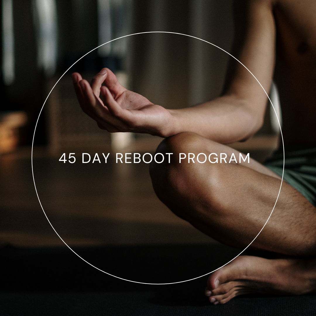 THE 45 DAY REBOOT PROGRAM™
